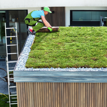 From heatwaves to biodiversity: CIBSE insights featured in Good Housekeeping UK magazine on the benefits of green roofs