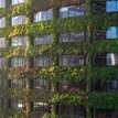 Spotlight Awards: Eden, Manchester: Engineering Europe’s Largest Living Wall