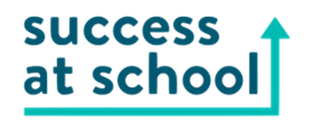 Sas Logo